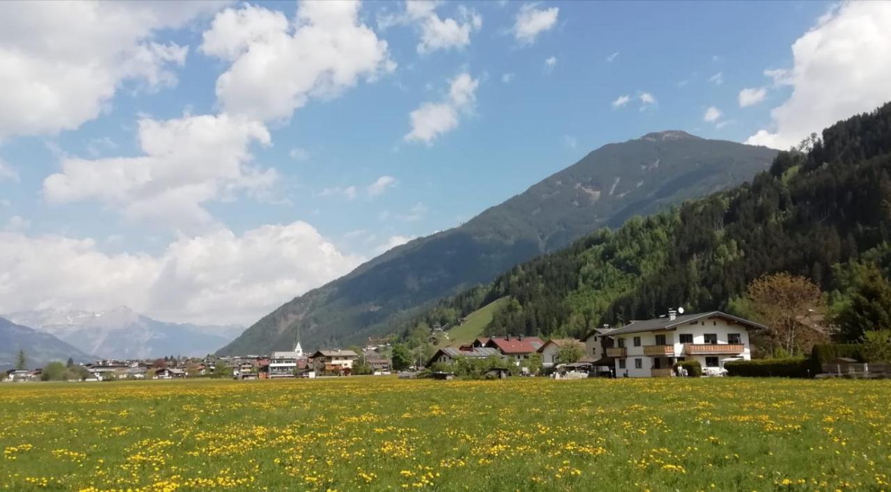Ferienwohnung Thanner 斯达姆 外观 照片